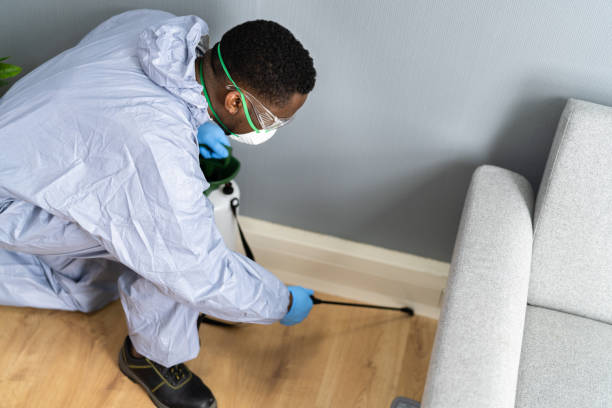 Emergency Pest Control Services in Palm Springs North, FL